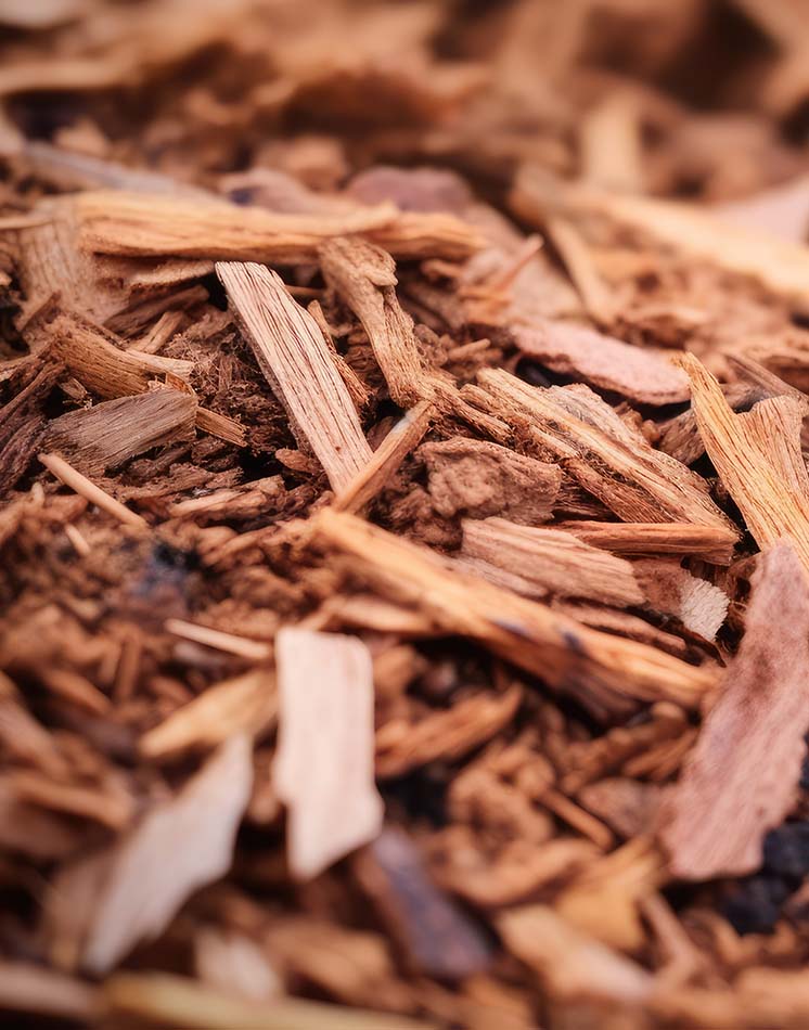 wood chips from mulching