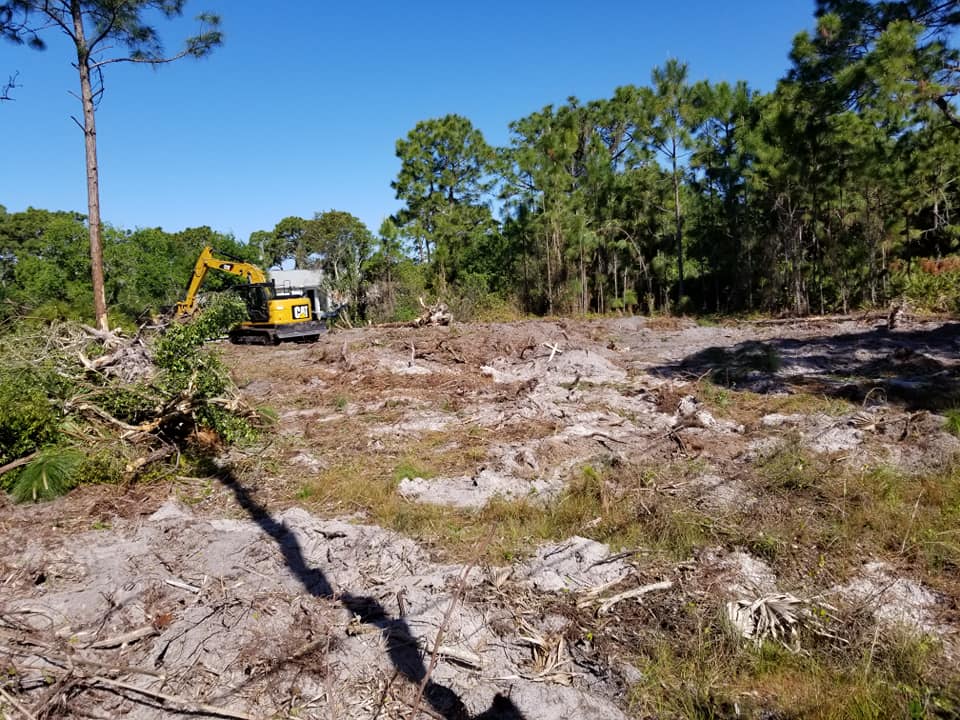 backhoe starting to clear trees and debris from an empty unimproved lot